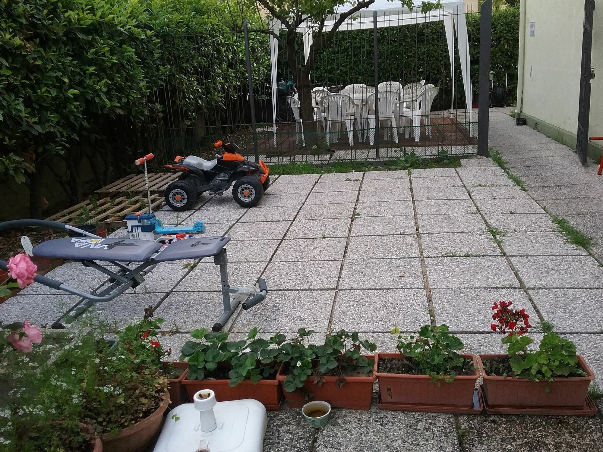 Ever Green Μέστρε Εξωτερικό φωτογραφία